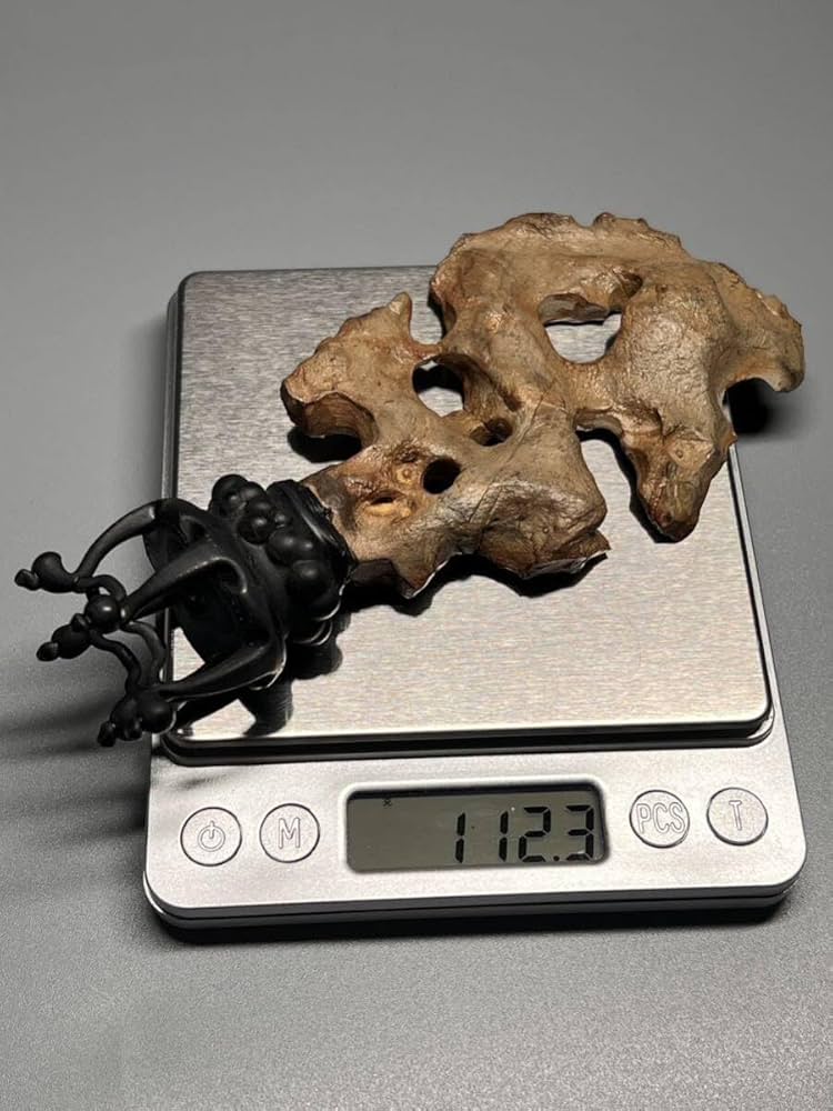 太湖石 置物 擺件 黄花梨台 天然石 唐物 約14kg/ 鑑賞石 WWFT052 太湖石 置物 擺件 黄花梨台 天然石 唐物 約14kg/ 鑑賞石 WWFT052